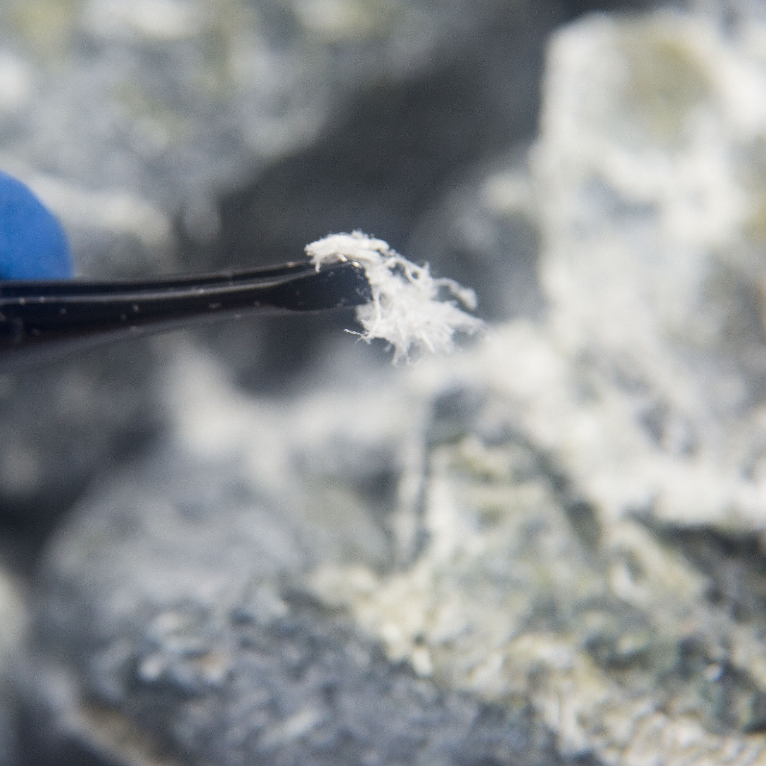 Asbestos: A Hidden Hazard with Lasting Consequences